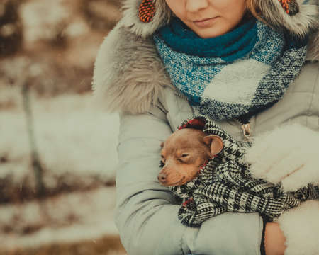 Young sad woman wrapped her best friend little dog in warm blanket scarf to warm him in cold winter day. Animal protection save. Adoption conceptの写真素材