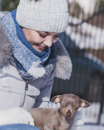 Young woman having fun outside in snow. Female playing with her small purebreed dog puppy in cold winter day.の写真素材