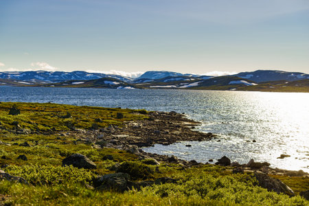 Hardangervidda mountain plateau landscape. National tourist route. Norway in summer.