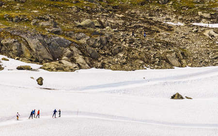 Sport activity. Cross country summer ski at road 55 Sognefjellet national tourist route between Lom and Luster, Norway. People training on track.の写真素材