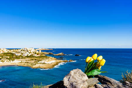 Mediterranean Sea coast landscape with yellow tulips bunch, spanish rocky coastline in Murcia region. Calblanque Regional Park.の写真素材