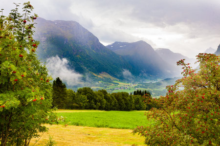 Tourism vacation and travel. Mountains landscape at summer with foggy grren valley, Norway...