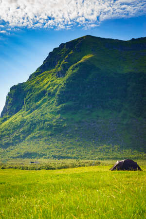 Camping. Tent on nature in summer. Lofoten archipelago Norway. Holidays and travel.の写真素材
