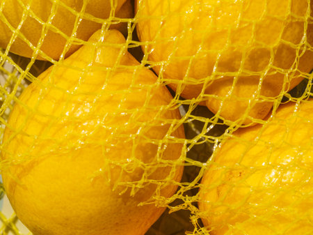 Close up of yellow ripe fresh lemon fruits in netの写真素材