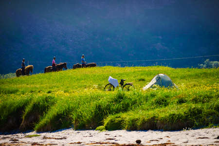 GIMSOYA, NORWAY - JULY 17, 2018: Horseback riding in Lofoten Gimsoys.のeditorial素材