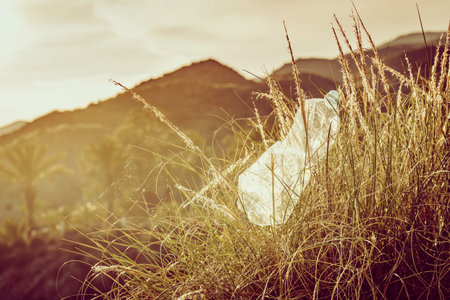 Plastic empty water bottle abandoned on nature, sunrise background. Environmental pollution global...