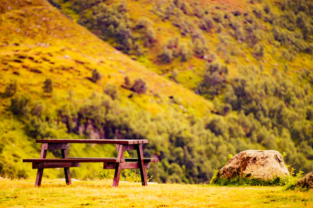 Picnic site wooden table and benches in norwegian forest park, Europe.