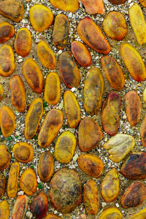 Fragment of stone wall. Brown background texture