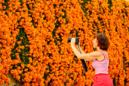 Tourist mature woman taking picture from orange flowers hanging over spanish garden fence. Pyrostegia venusta. Beauty in nature.の写真素材