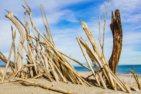 Mediterranean sandy beach landscape.の写真素材