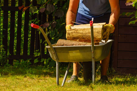 Man working with firewood, unloading wood from wheelbarrow. Preparation for winter.の写真素材