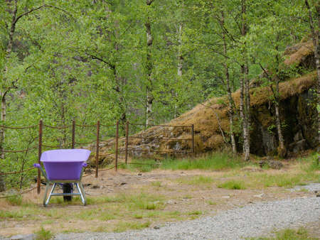 New violet wheelbarrow outdoors on norwegian natureの写真素材