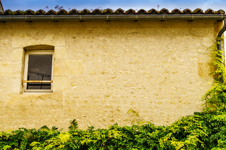 Old building window on stone wall with climbing green plant, architecture detailの写真素材