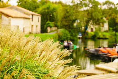 Grass by river and Coulon town in the background. Deux Sevres, New Aquitaine region, Franceの写真素材