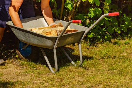 Man working with firewood, unloading wood from wheelbarrow. Preparation for winter.