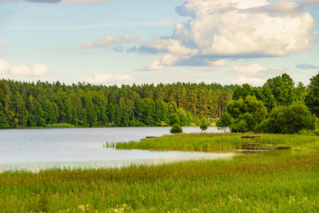 Lake Kierwik in Masuria lakeland in Poland. Water shore overgrown with green reeds. Summer landscape in Europe.の写真素材