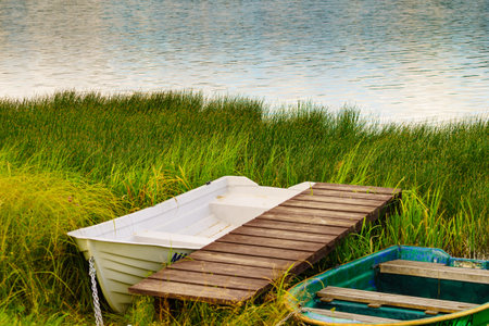 Old wooden fishing boat with paddles on lake shore. Summer activity.の写真素材
