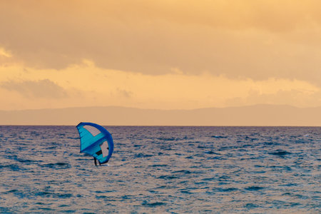 Surfer in sea water. Sport activity.
