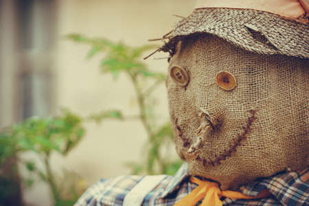 Happy doll, handmade scarecrow. Decoration in gardenの写真素材