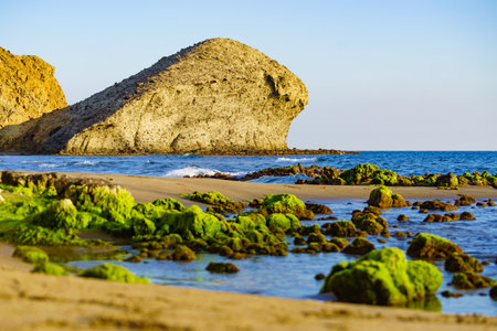 Monsul beach in Cabo de Gata Nijar Natural Park. Coast of Almeria. Stones covered with green plant, bloom of algae.の写真素材