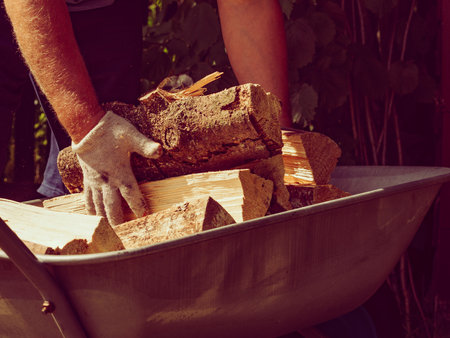 Man working with firewood, unloading wood from wheelbarrow. Preparation for winter.の写真素材