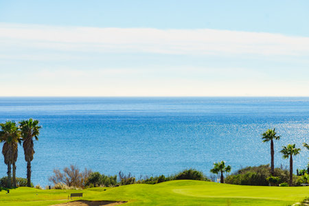 Golf course and palm trees on sea coast, Sotogrande in Andalusia Spainの写真素材