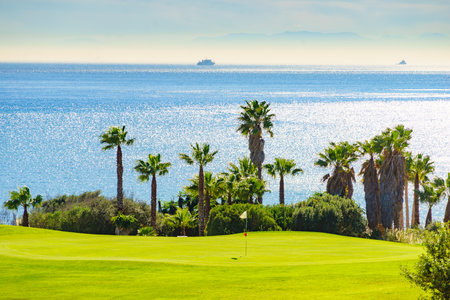 Golf course and palm trees on sea coast, Sotogrande in Andalusia Spainの写真素材