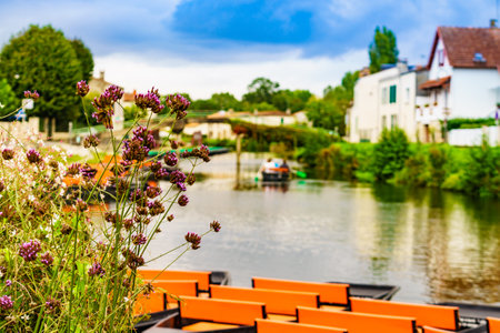 Flowers by river and Coulon town in the background. Deux Sevres, New Aquitaine region, Franceの写真素材