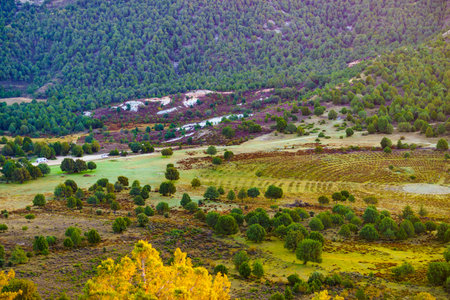 Green valley with restored grounds of Sad Hill Cemetery, the fictional round graveyard where the final duel of western The Good, The Bad and the Ugly takes place. View from aboveの写真素材