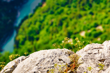 Verdon Gorge in Provence France. Regional Natural Park. The grand canyon. Mountain landscape.の写真素材