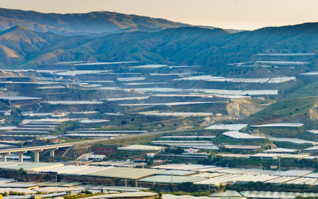 Spanish seacoast with many plastic greenhouses. Almeria region, Andalusia. Food industry.