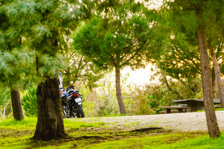 Camping place, rest leisure area, Povoa e Meadas Dam in Castelo de Vide, Alentejo Portugal.の写真素材