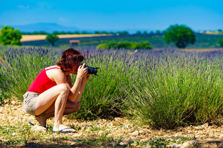 Mature tourist woman with camera taking travel photo from Provence landscape with lavender fields, Plateau Valensole, Alpes de Haute Provence in Franceの写真素材