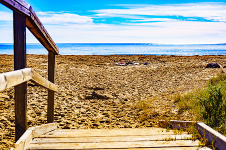 Beach seashore with wooden path to sea water.の写真素材