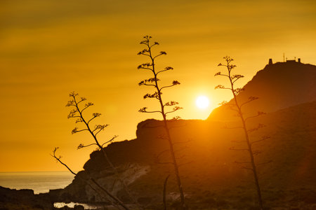 Coastal landscape at sunset. Cabo de Gata Natural Park, Andalusia Spain.の写真素材