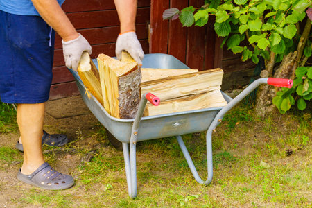 Man working with firewood, unloading wood from wheelbarrow. Preparation for winter.の写真素材