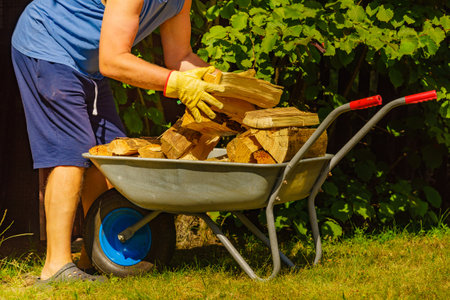 Man working with firewood, unloading wood from wheelbarrow. Preparation for winter.の写真素材