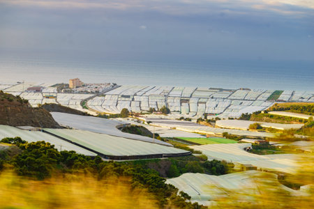Spanish seacoast with many plastic greenhouses. Almeria region, Andalusia. Food industry.