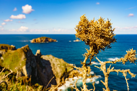 Seascape of Atlantic ocean and Asturias rocky coast at Cape Penas. Sea shore with high cliffs in north Spain.の写真素材