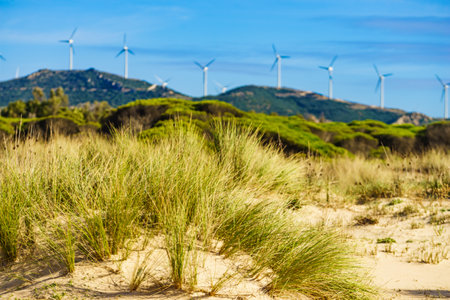 Sand beach grassy dunes and wind turbines on hills. Andalusia Spain.の写真素材