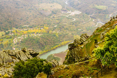 Douro river landscape. Border between Portugal and Spain. National Parks. View from Penedo Durao lookout.の写真素材