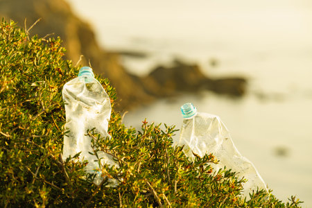 Plastic empty water bottle abandoned on coast. Environmental pollution global ecological problem. Earth ecology.の写真素材