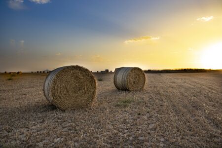 scenery of haystack on the field with blue skyの写真素材