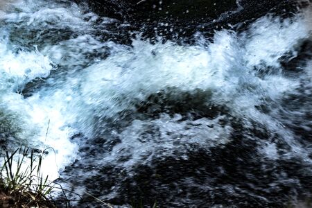 scenery of flowing clear water in the forestの写真素材