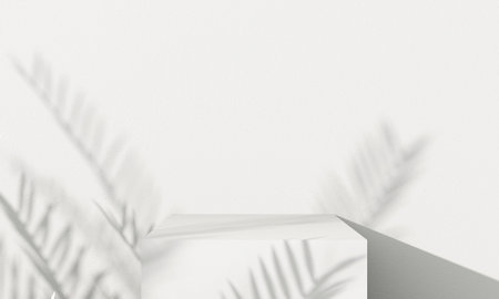 3d rendering. Empty white wall with tree shadows. 3d rendering.