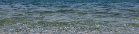 Universal banner 4x1 for websites, social networks and typography transparent water surface near the...