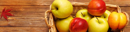 Universal  banner for different professions with apples on a tree backgroundの写真素材