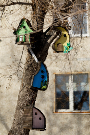 bright multi-colored house for birds hanging on a treeの写真素材
