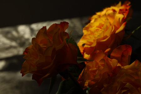 beautiful bouquet of orange roses with delicate petalsの写真素材