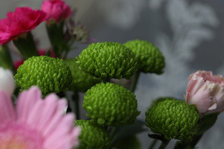 bouquet of colorful chrysanthemumsの写真素材